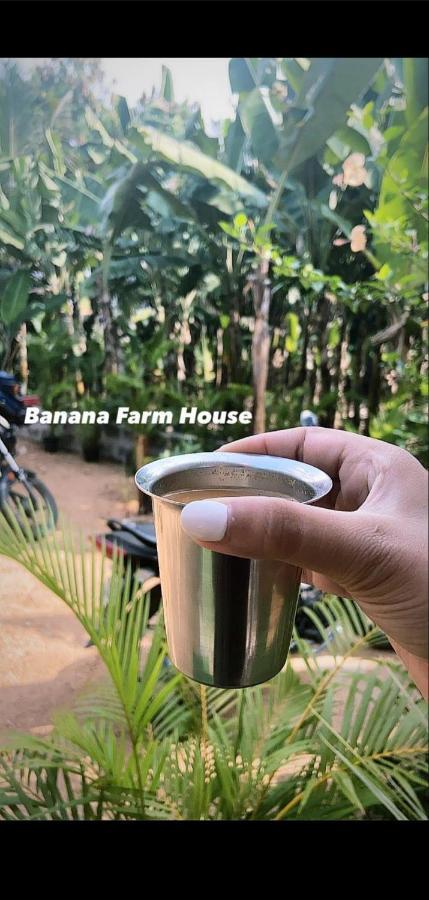 Banana Farm House Hampi Exterior foto