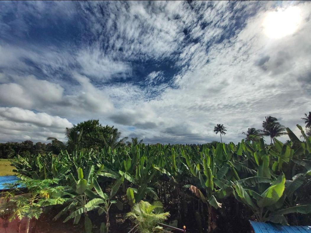 Banana Farm House Hampi Exterior foto