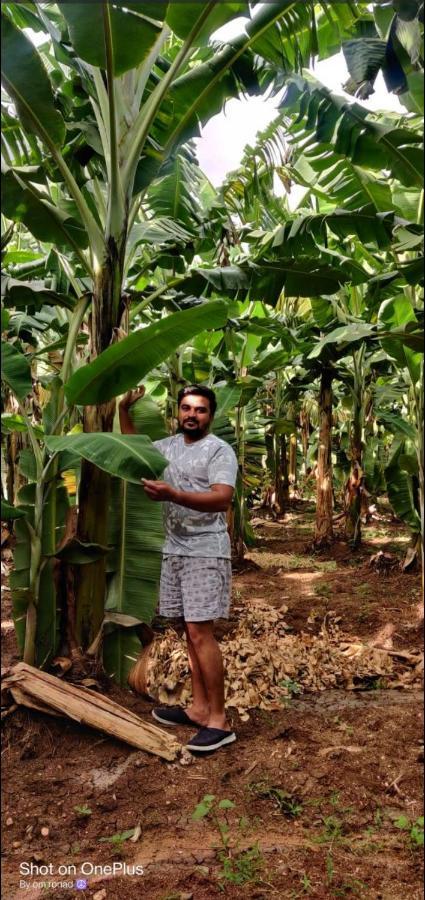 Banana Farm House Hampi Exterior foto